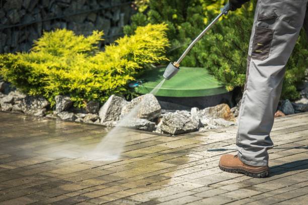 Best Driveway Pressure Washing  in Irving, TX